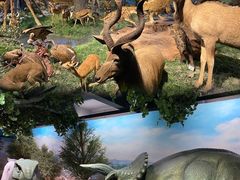 -国家自然博物馆