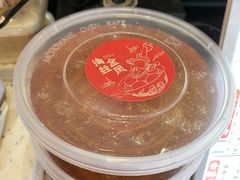 -海丝金凤(金鱼店)