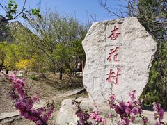 -北京凤凰岭