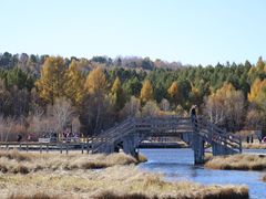 -塞罕坝国家级自然保护区
