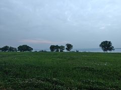 -漕湖湿地公园