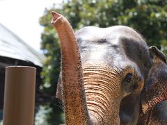 -杭州野生动物世界