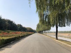 -洨河生态公园