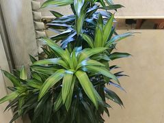 -厨房好味(国贸店)