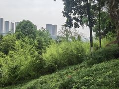 -大渡口区义渡公园