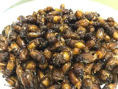 地黄-昆虫窝子·特色云南菜(拓东路总店)