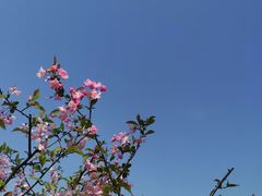 -黄兴公园