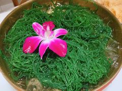 龙须菜-同心如意传统铜火锅
