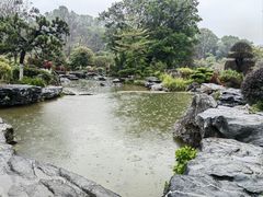 -东莞植物园