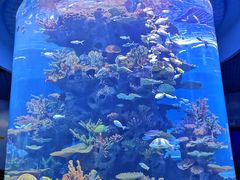 -多彩贵州城极地海洋世界