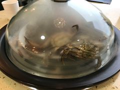 -港畔赶海蒸汽海鲜烧烤自助(仙螺岛店)