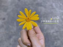 -昆明春城湖畔度假村