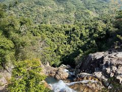 -海南霸王岭国家森林公园