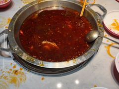 -蜀滋香鲜鱼美蛙火锅(339店)
