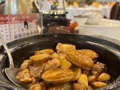 -金河半岛园林酒家(金融城店)