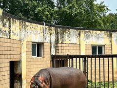 -合肥野生动物园