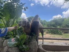 -海南热带野生动植物园