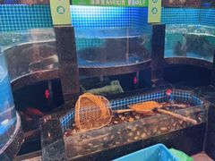 水产区-千岛湖小鱼儿·淳安匠心农家菜