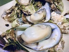 -大富蚝乌东哥饭店·石锅鱼杂·柠檬鸭(革新路店)