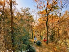 -WeLope紫金山探险公园