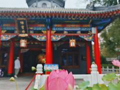 -哈尔滨极乐寺