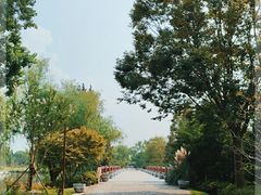 -上海滨江森林公园