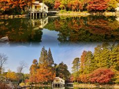 -上海共青森林公园