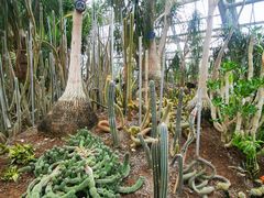 -南山植物园