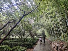 -九龙潭景区