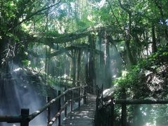 -青青世界