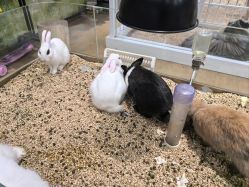 -小象动悟公园(龙湖亦庄天街店)