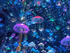-梵高星空艺术馆(北京旗舰店)