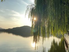 -济南国际园博园