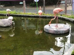 -灵玲国际马戏城