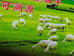 -丝路伊兰·兰州牛肉面(马连道店)