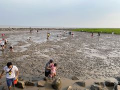 -南汇嘴观海公园