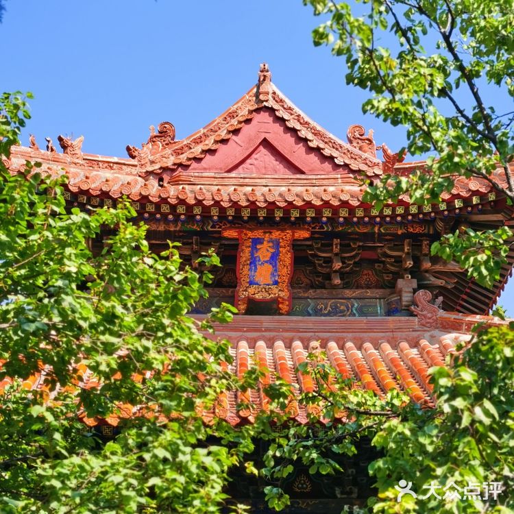 山东旅游|曲阜三孔景区超详细游玩攻略🏯内附地图