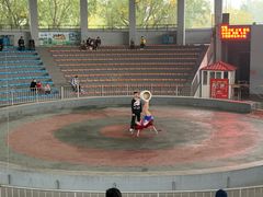 -石家庄市动物园