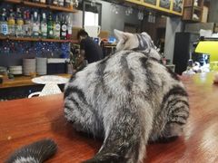 -咖法森林·咖啡  酒吧(天河店)