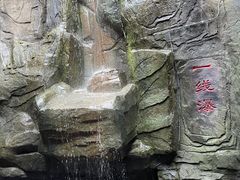 -成吉思汗公园