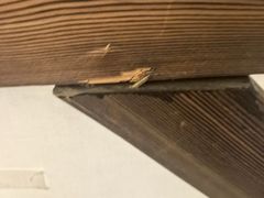 -东方之珠洗浴休闲广场(南开店)