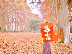 -河南省黄河迎宾馆