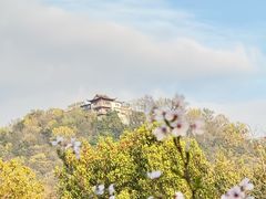 -杭州少年儿童公园