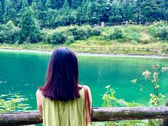 -武陵山森林公园