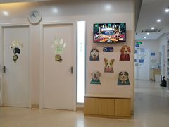 -芭比堂动物医院·24小时·眼科中心(深圳中心)