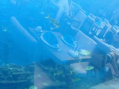 -涛·海底餐厅·美人鱼·自助餐·海底隧道(三亚海棠湾洲际度假酒店)