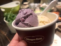 哈根达斯冰淇淋-舒友海鲜姿造(白鹭洲店)