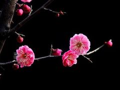 -杭州六谷生态休闲农庄有限公司