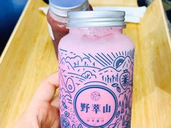 -野萃山·潮汕厚果汁(十亩地店)