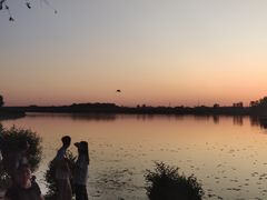 -丁香湖公园
